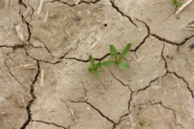 Reconnaissance état de catastrophe naturelle - sécheresse