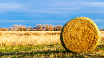 Reconnaissance de l'état de calamité agricole suite à la sécheresse de 2022