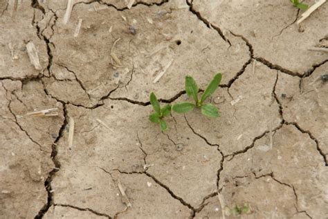 Reconnaissance état de catastrophe naturelle - sécheresse