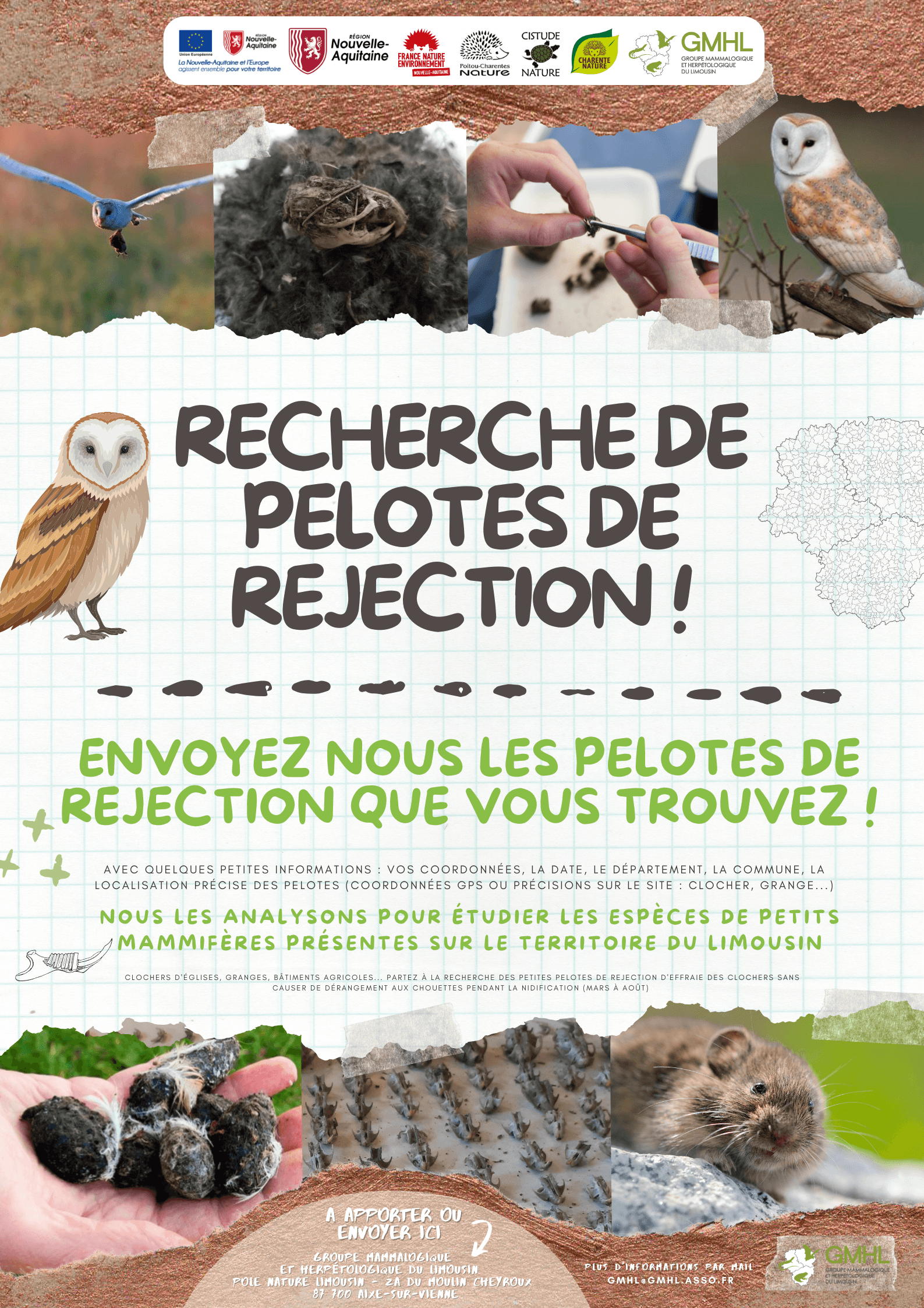 Recherche de pelotes de réjection pour l'étude des petits mammifères du Limousin