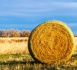 Reconnaissance de l'état de calamité agricole suite à la sécheresse de 2022