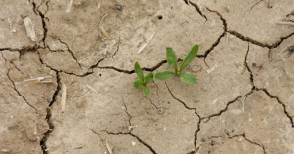 Reconnaissance état de catastrophe naturelle - sécheresse