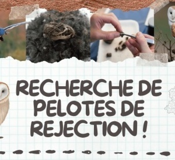 Recherche de pelotes de réjection pour l'étude des petits mammifères du Limousin