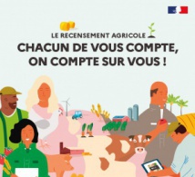 RECENSEMENT AGRICOLE RECENSEMENT AGRICOLE