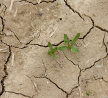 Reconnaissance état de catastrophe naturelle - sécheresse