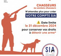 Déclaration de détention d'armes Déclaration de détention d'armes